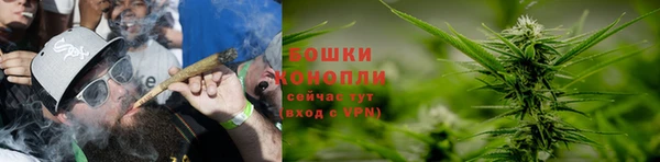 гидра Новодвинск