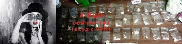 гидра Новодвинск