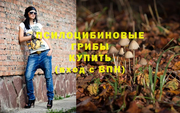 гидра Новодвинск