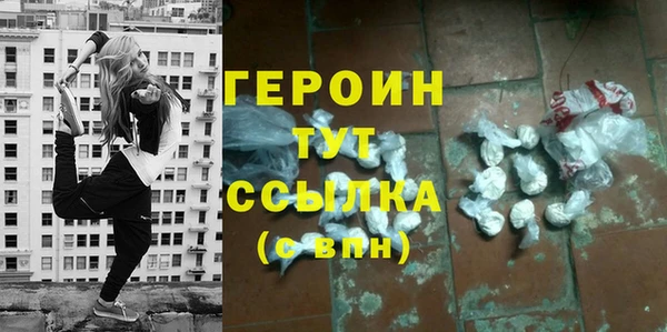 гидра Новодвинск