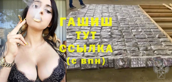 гидра Новодвинск