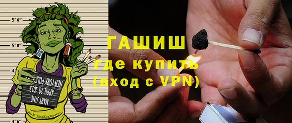 гидра Новодвинск