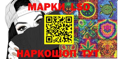 гашик Кинель