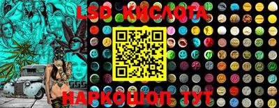 гашик Кинель