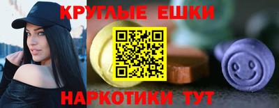 мяу мяу мука Кингисепп