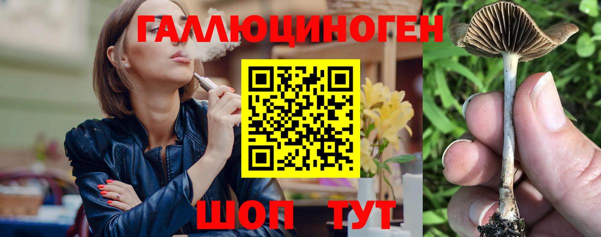 Псилоцибиновые грибы мухоморы Шуя