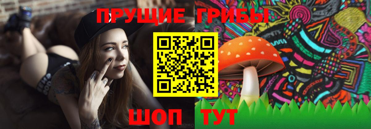 Шуя  Псилоцибиновые грибы мухоморы  купить наркотики цена  Вход с VPN 