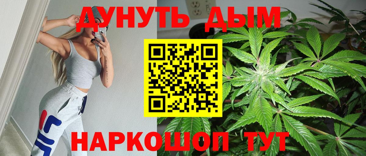 Шуя  Бошки марихуана OG Kush  Вход с VPN  Бошки марихуана планчик  МАРИХУАНА конопля 